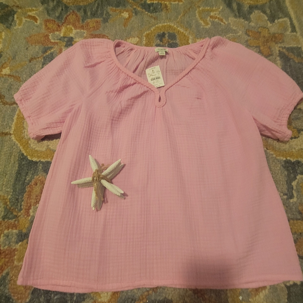JCrew Light Pink Short Sleeve Gauze Top